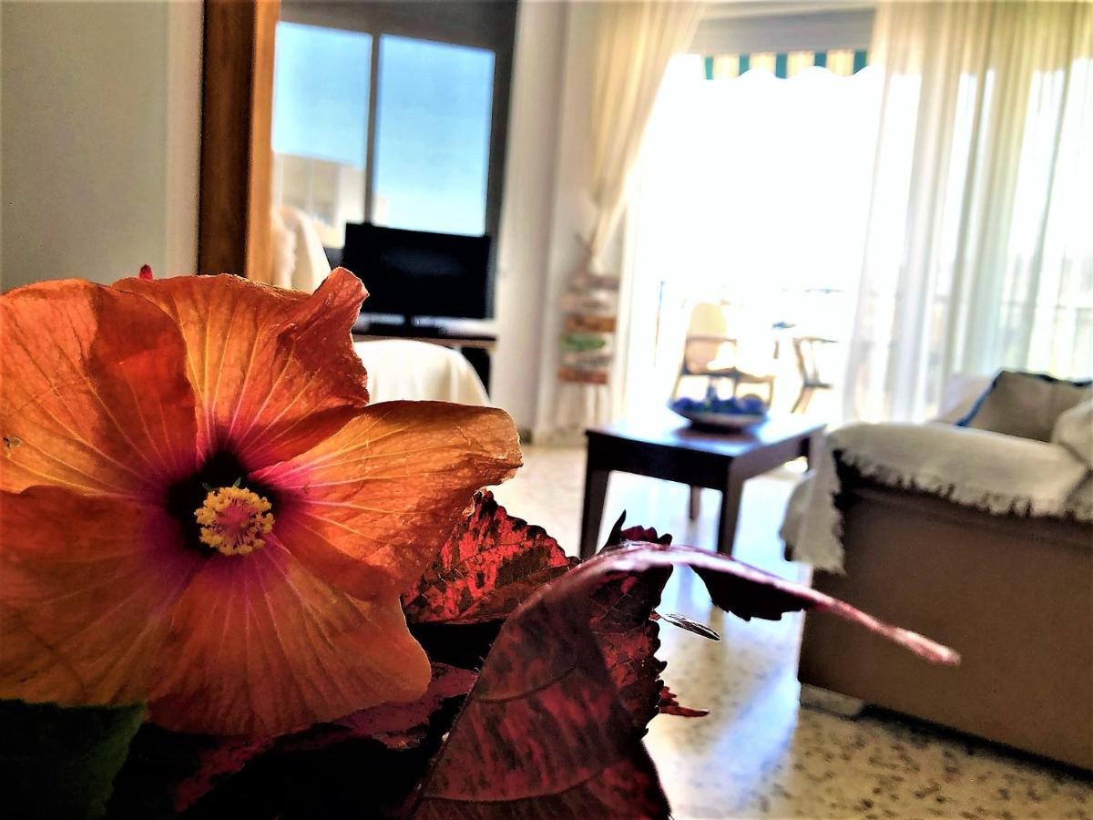 Salute To The Sea Apartment เนร์คา ภายนอก รูปภาพ